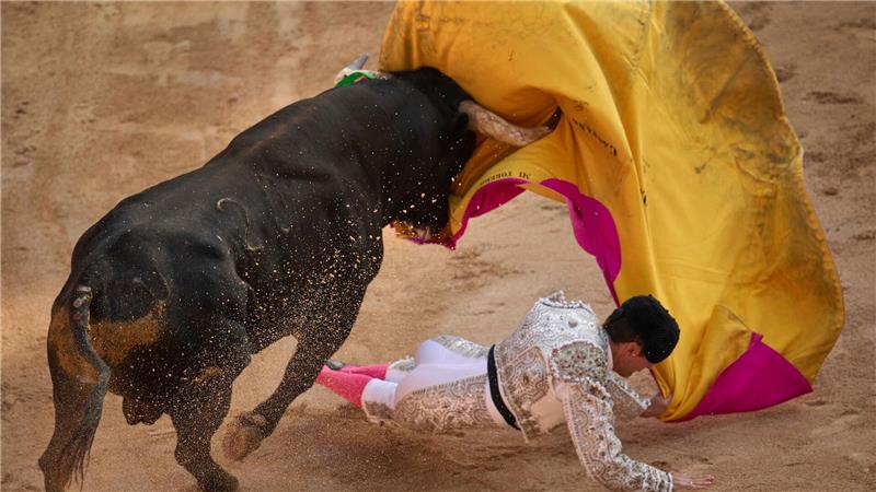 Riesige Stier-Statue soll neues Wahrzeichen Spaniens werden Stierkampf ist in Spanien ein geschütztes Kulturgut. (Archivbild)