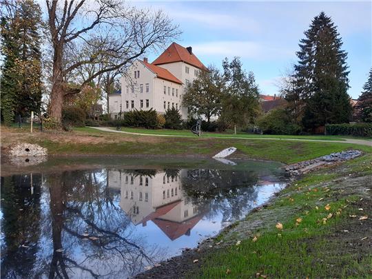 Still ruht der See im Gebiet des Erdfalls, der sich im Oktober 2022 im Amtsgerichtspark aufgetan hat. Foto: Privat