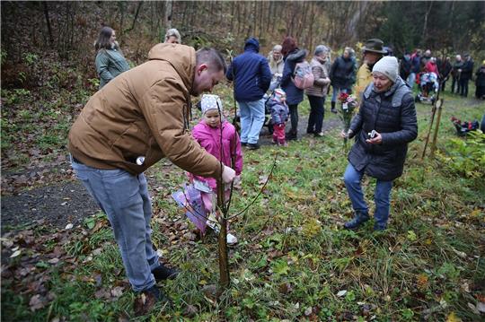 Stolz bringen die Väter die Namensschilder ihrer Kinder an den frisch gepflanzten Bäumen der Allee für die Neugeborenen im Kälbertal an.  Fotos: Jung