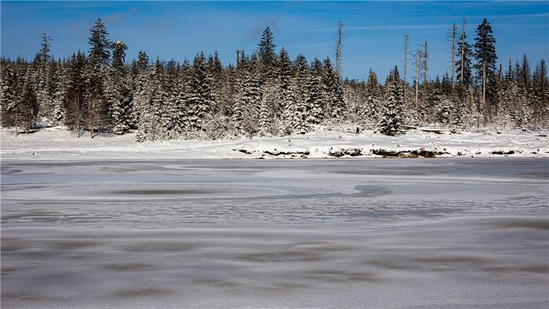 Strengstens verboten: Die Harzwasserwerke warnen davor, vereiste Teiche und Talsperren im Harz zu betreten. (Archivbild)