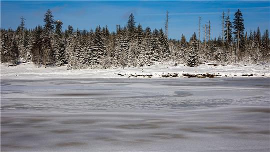 Strengstens verboten: Die Harzwasserwerke warnen davor, vereiste Teiche und Talsperren im Harz zu betreten. (Archivbild)
