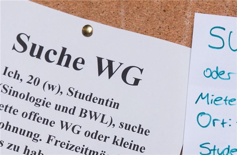 Studenten suchen an einer Universität mit Zetteln an einem Schwarzen Brett eine Wohnung.