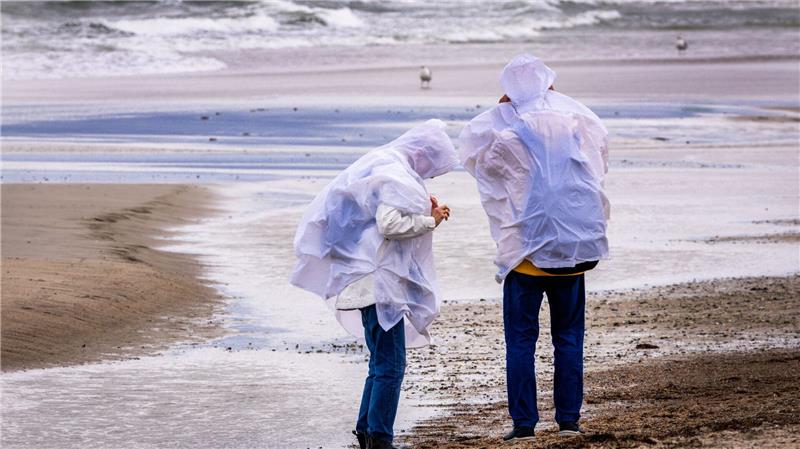 Sturmböen sorgen in Norddeutschland für einzelne Sperrungen und Ausfälle – größere Schäden bleiben aus.