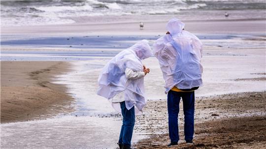 Sturmböen sorgen in Norddeutschland für einzelne Sperrungen und Ausfälle – größere Schäden bleiben aus.
