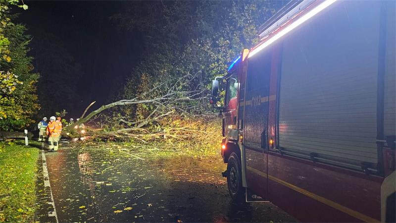Feuerwehrfahrzeug steht nachts auf einer nassen Straße neben einem umgestürzten Baum, mehrere Einsatzkräfte in Warnkleidung sind am Unfallort tätig