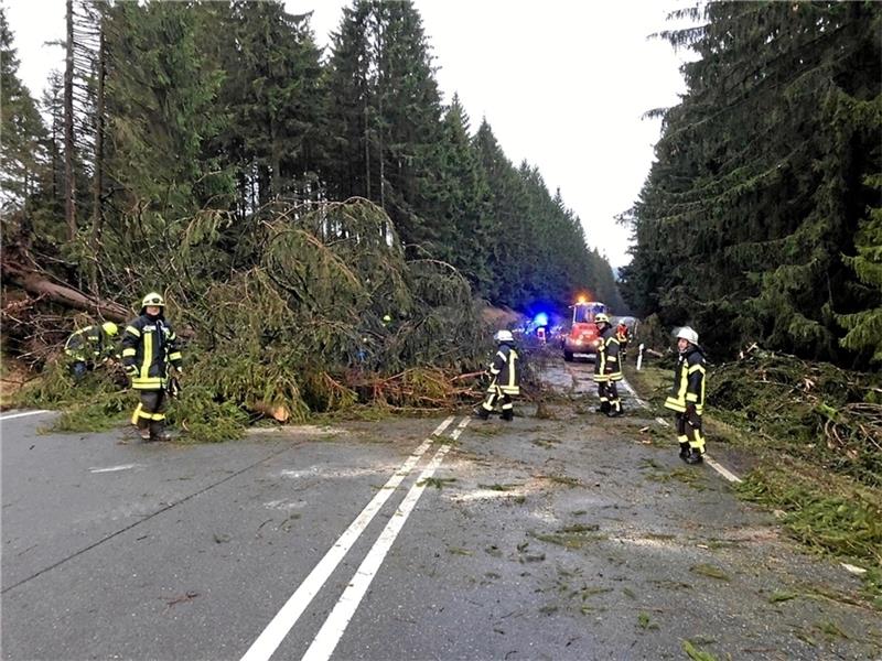 Sturmtief im Anmarsch: Der Nationalpark warnt vor umgestürzten Bäumen im Harz. Archivfoto: Feuerwehr