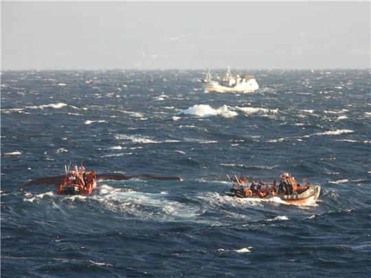 Suchmaßnahmen laufen in den Gewässern südlich der Ferieninsel Jeju, nachdem ein 29 Tonnen schweres Fischerboot gekentert ist.