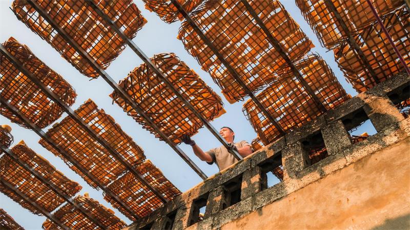 Südchina - Bauer trocknet Bambussprossenscheiben in der Sonne