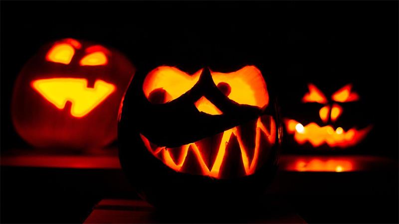 Gruseltipps für Halloween: Wo spukt es in Niedersachsen? Süßes, sonst gibts Saures: Die Menschen in Niedersachsen erwartet ein buntes Halloween-Angebot im ganzen Land. (Symbolbild)