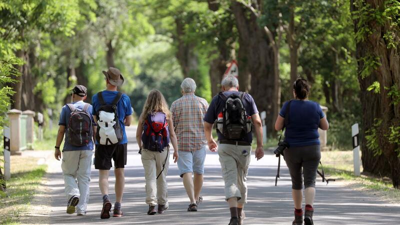 Heilsame Auszeit: So geht das Fastenwandern Tägliche Bewegung in Form von Spaziergängen gehört beim Fastenwandern dazu.
