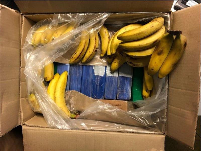 Tafel-Mitarbeiter finden 14 Kilo Kokain in Bananenkisten Tafel-Mitarbeiter haben in Bananenkisten Kokain gefunden.