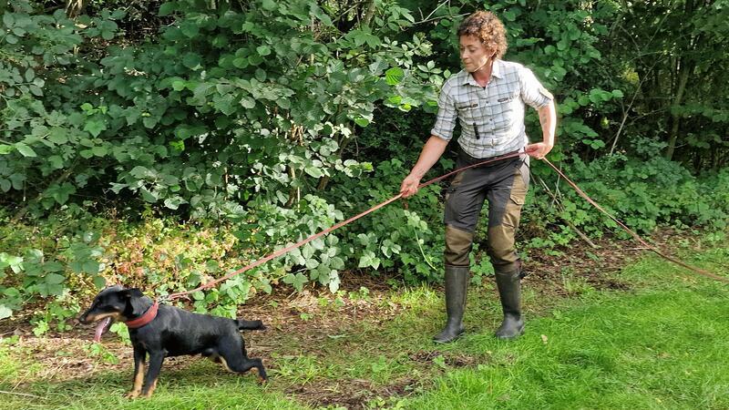 Tanja Wagner und ihr Hund Hans beim Training der Schweißarbeit.