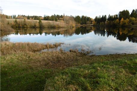 Anzeige nach Sex am Unteren Eschenbacher Teich