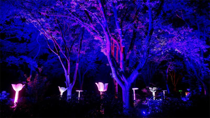 „Lichtzauber“ in der Abenddämmerung im Park der Gärten Tausende LED-Lichter wurden im Park installiert.