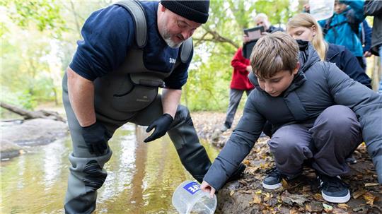 Tausende Lachse werden von Schülern in Hannover ausgwildert.