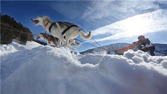 Teams aus etlichen Ländern in Europas gingen im bayerisch-österreichischen Grenzgebiet an den Start.