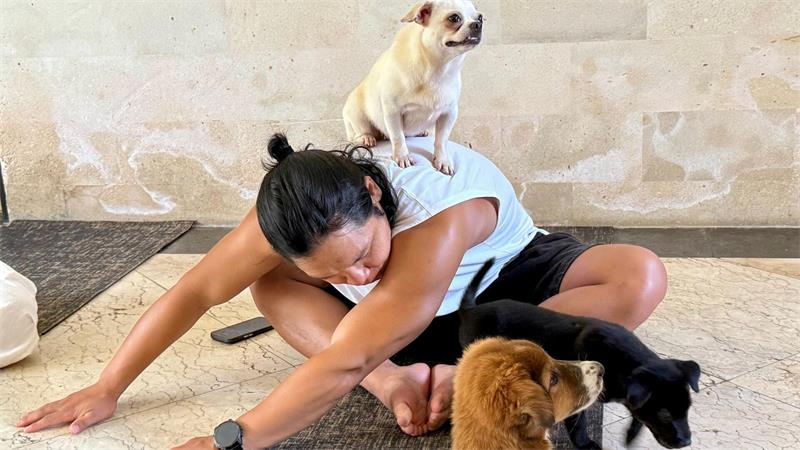 Trend Puppy Yoga: Herabschauender Hund trifft Hundebabys Teilnehmer sollten darauf achten, dass die Welpen aus einem Tierheim und nicht von einem Züchter stammen.