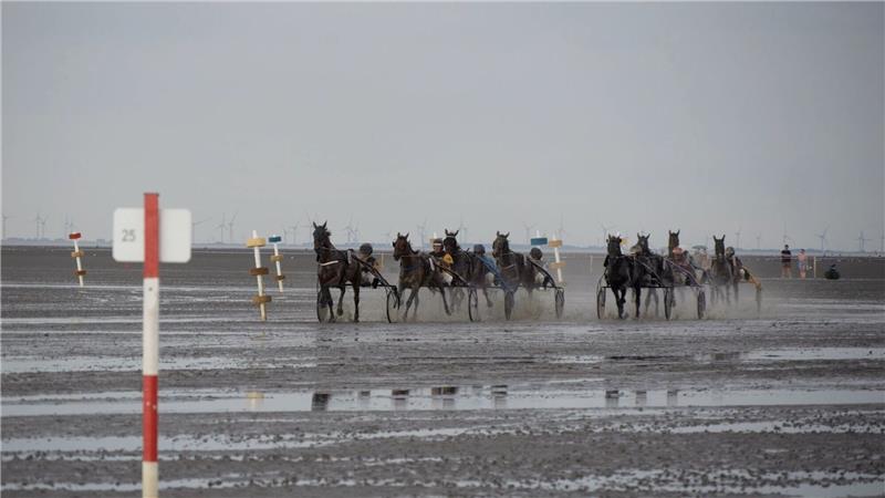 Teilnehmer und Teilnehmerinnen des Trabrennens sind in Aktion vor dem Strand von Duhnen.