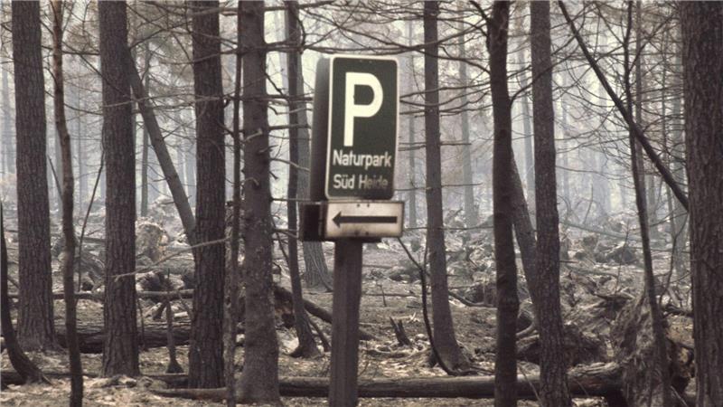 Meinersen gedenkt Waldbrandkatastrophe in der Südheide Teilweise wurden während des Feuers Orte evakuiert. (Archivbild)