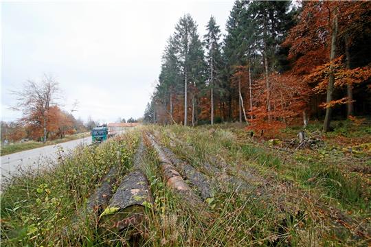 Tempo beim Einkaufsmarkt, Zwischenstopp für die Multifunktionshalle: Zunächst soll am Hahnenkleer Ortseingang die Fläche für nur ein Vorhaben aus dem Landschaftsschutz entlassen werden.  Archivfoto: Epping