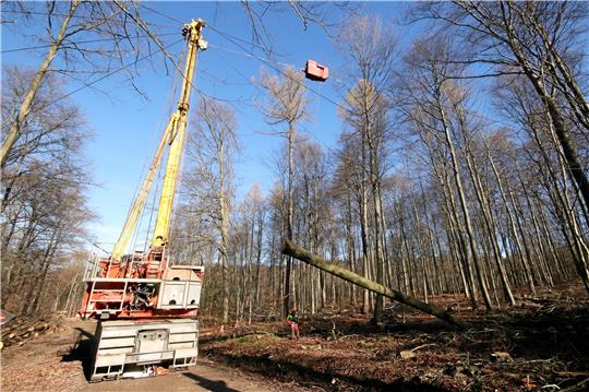 Testlauf im Hainberg: Per Seilkran wird der Baumstamm über viele hundert Meter in der Nähe des Jägerhauses aus dem Wald gezogen. Foto: Gereke