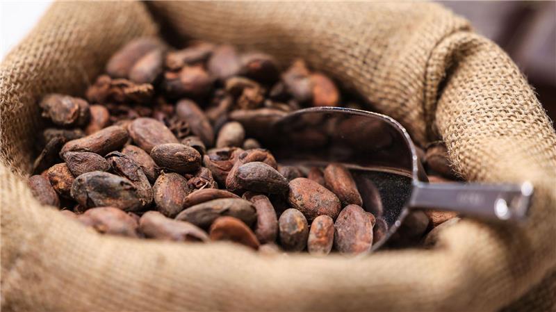 Preisschock zur Adventszeit – Schoko-Lust wird teuer Teure Kakao-Importe sorgen für hohe Schokoladenpreise.