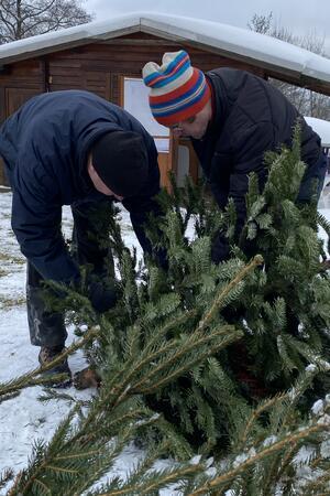 Thorsten Böhm (l.) kürzt den Frauen-Baum noch etwas, damit das Gewicht stimmt.