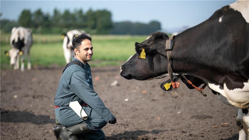 Wegen Fachkräftemangel: Tierärzte aus dem Ausland umworben Tierarzt Mohammad Ranjbar ist Ende 2024 aus dem Iran in die niedersächsische Provinz gezogen.