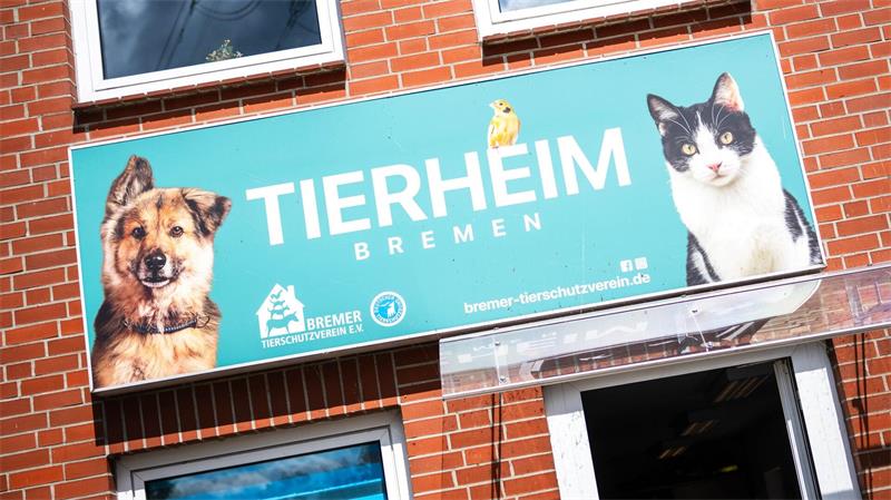 Stopp! Warum Tierheime in den Ferien an ihr Limit kommen Tierheime im Nordwesten stoßen an ihre Grenzen.