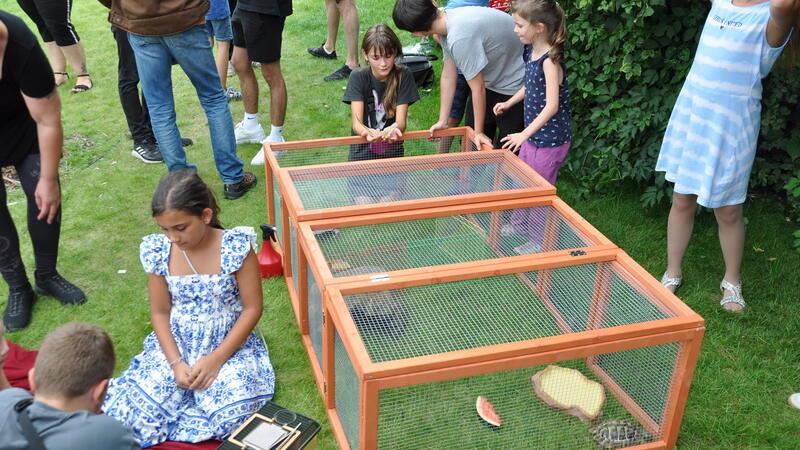 Tierisch Schildkröten, Zwergbartagamen und Leopardgeckos erhalten viel menschliche Aufmerksamkeit.