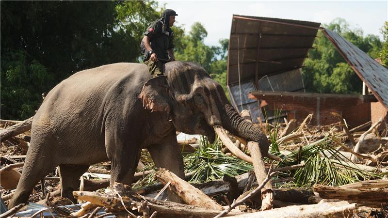 Tierisch stark: Ein Elefant beseitigt Trümmer nach schweren Überschwemmungen in der indonesischen Provinz Aceh.