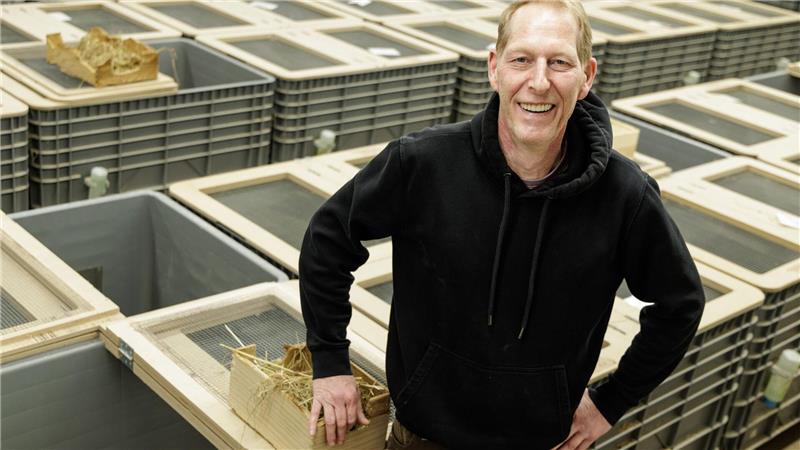 Tierpfleger Jörg Kritschker bringt die für die Verpaarung vorgesehenen Weibchen und Männchen zusammen. 