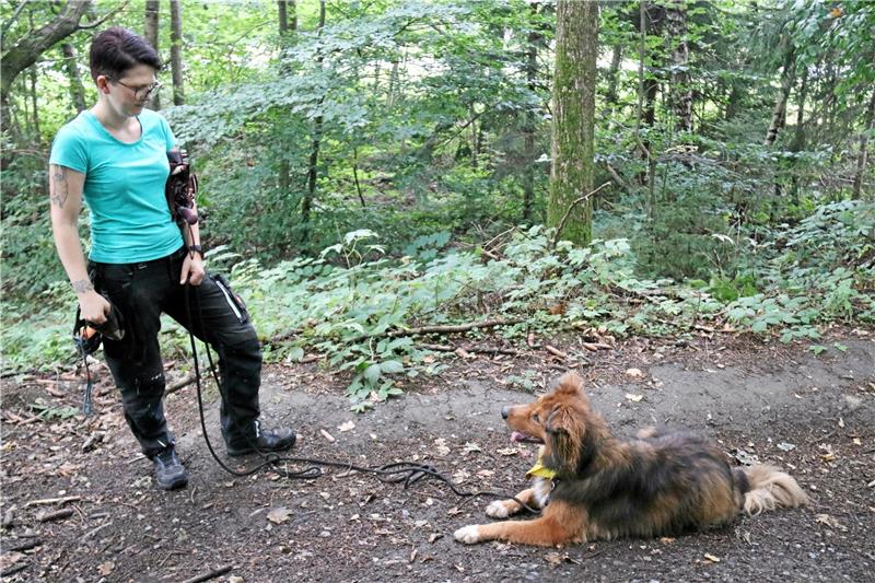 Abgestempelt für das ganze Hundeleben – Endstation Tierheim Tierpflegerin Stefanie Pietsch (36) und der Australian-Sheppard-Harzer-Fuchs-Mix Buddy trainieren seit fast vier Jahren zusammen. Foto: Hartmann