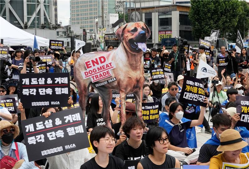 Südkorea will Verzehr von Hundefleisch ein Ende setzen Tierschützer veranstalten eine Kundgebung gegen die traditionelle Kultur des Verzehrs von Hundefleisch in Südkorea.