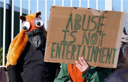 Tierschutz-Aktivisten protestieren gegen das Hindernisrennen in Aintree.