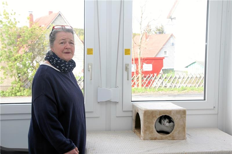 Tierschutzverein Braunlage, Hannelore Beyer, Braunlage, Container, Katze, Katzen