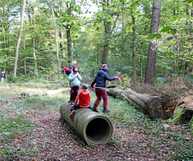 Toben und balancieren auf einer Betonröhre, dem „Kriechtunnel“, gehören auch um Walderlebnistag an der Ohe-Hütte. Foto: Hohaus