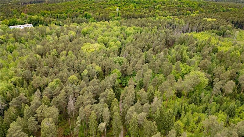 Tod einer 21-Jährigen im Wald - Ermittlungen gegen Jugendlichen wegen Totschlags 