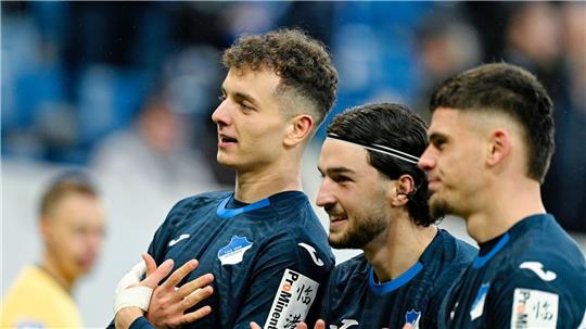 Torschütze Fisnik Asllani (l.): Hoffenheim wirbelt und feiert.