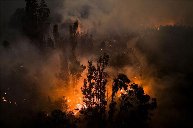Mindestens 23 Tote bei Waldbränden in Chile Tote, Vermisste und zahlreiche Verletzte - die Flammen im Süden Chiles sind nicht zu bändigen.