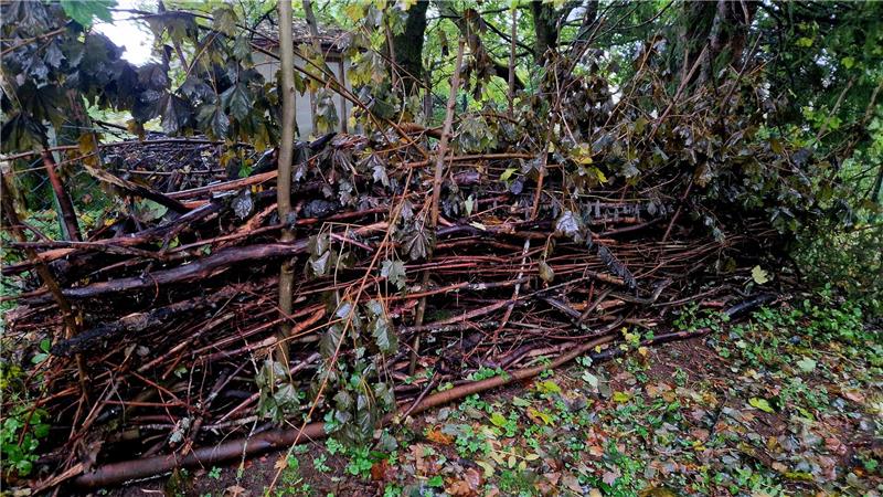 Wie Gartenbesitzer Schlafmäusen das Leben retten können Totholzhecken oder auch sogenannte Benjeshecken bieten zahlreichen Tieren Unterschlupf, Nistmöglichkeiten und Nahrung.