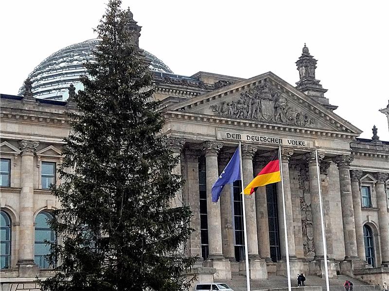 Altenauer XXL-Fichte schmückt den Berliner Bundestag Traditionell kommt der Weihnachtsbaum vor dem Berliner Bundestag aus dem Harz. Foto: Holger Kulick