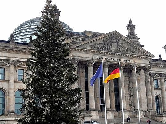 Traditionell kommt der Weihnachtsbaum vor dem Berliner Bundestag aus dem Harz. Foto: Holger Kulick