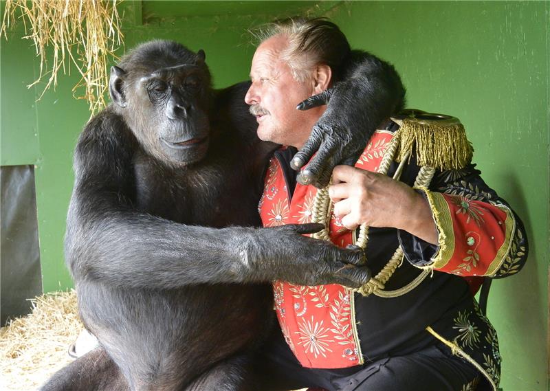 Trauer um Schimpanse Robby: Besitzer Klaus Köhler und einen der letzten Menschenaffen im Zirkus in Deutschland verband eine innige Beziehung. Foto: Alexandra Dörnath, dpa