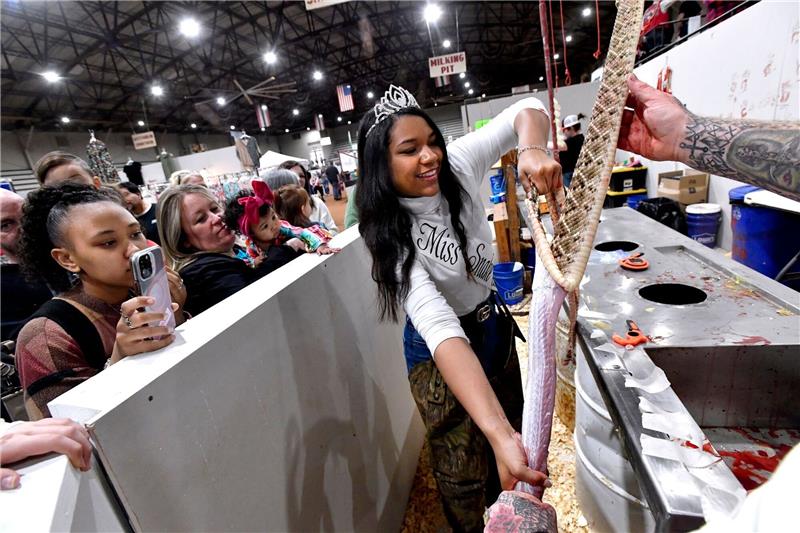 Trinity McGee, die Gewinnerin des Miss Snake Charmer-Wettbewerbs 2023, häutet eine Klapperschlange beim 65. World's Largest Rattlesnake Roundup in den USA.