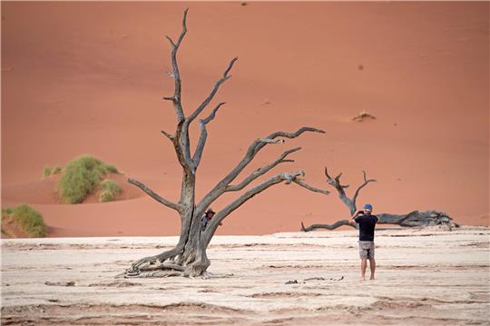 Trocken und heiß, das ist Namibia im Südwesten Afrikas – auch zu Weihnachten. Friedgund Göttsche-Niessner verbrachte als Kind eine unvergessliche Zeit mit ihrer Familie in Namibia. Archivfoto: dpa