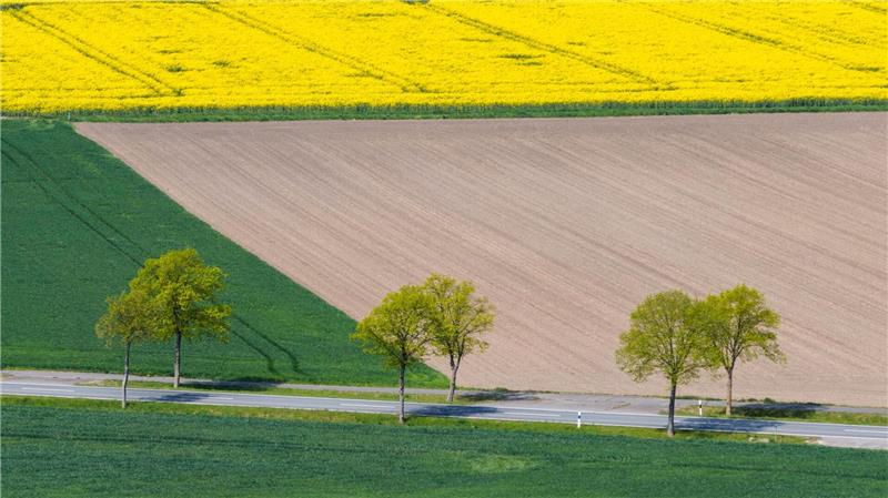 Trockene Landschaft in Niedersachsen