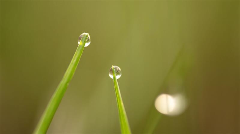 Tropfen zum Herbstanfang