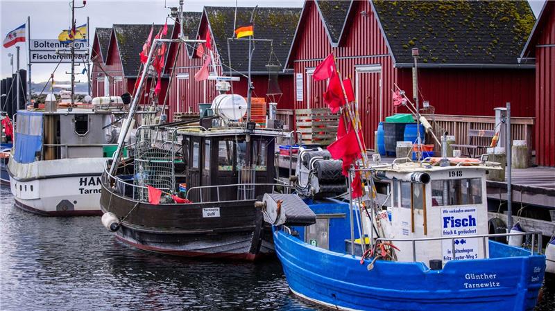 Kaum neue Einschränkungen für Ostsee-Fischer - Backhaus froh Trotz Sorgen um Dorsch und Hering: Für die deutschen Ostsee-Fischer bleibt fast alles beim Alten. (Symbolbild)