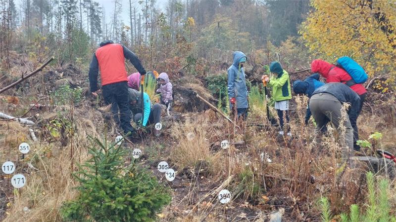 Gruppe von Menschen in Herbstkleidung, die auf einem bewachsenen Hang mit nummerierten Markierungen im Boden arbeiten.